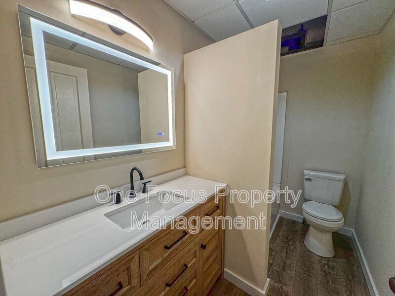 Newly Renovated 1BR/1BA - up to 2 Cats Welcome! property image