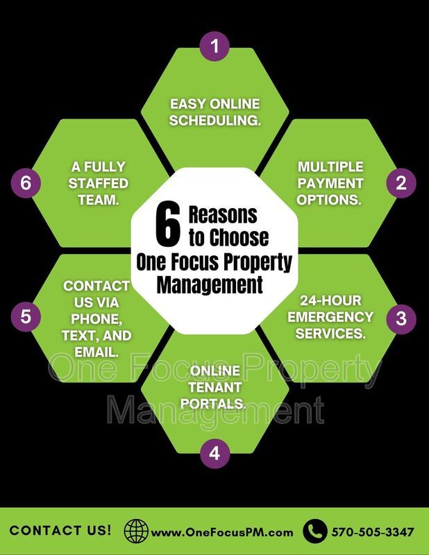 Regal and Spacious 1BR/1BA - 2 Cats Welcome! property image